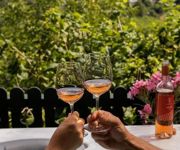 Pensión Chillinn Rosé