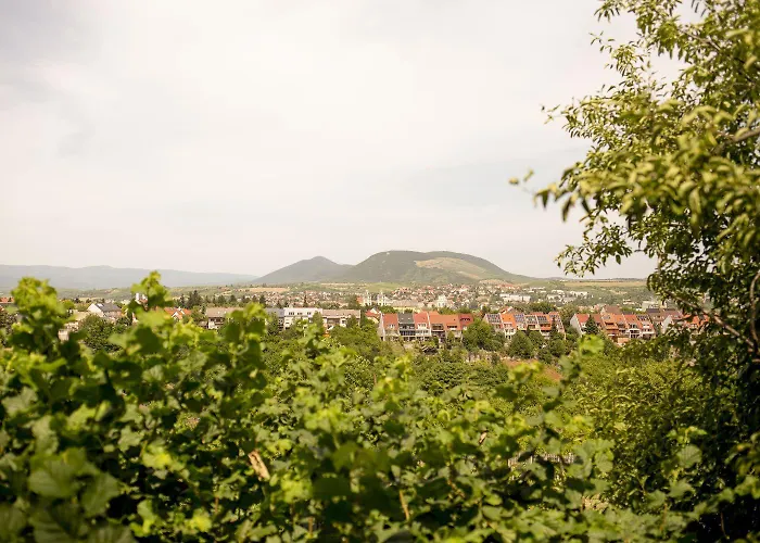 Pensión Chillinn Rosé Eger