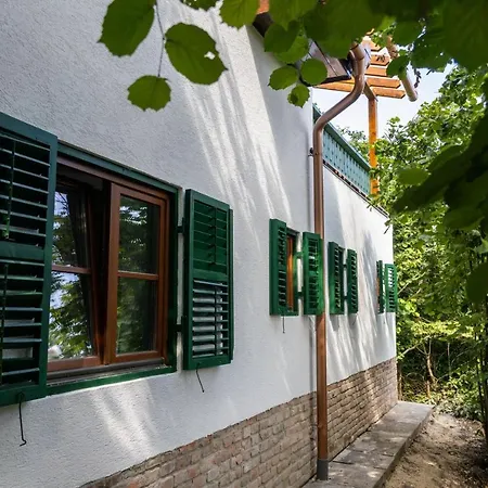 Chillinn Rose 招待所 *