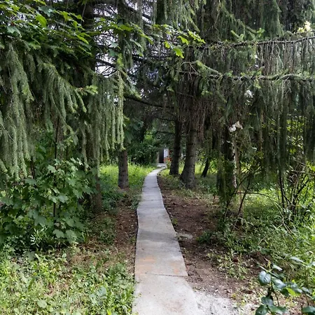 Chillinn Rose 招待所