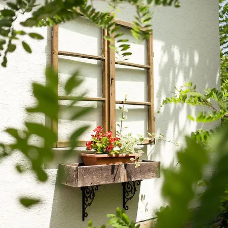 Chillinn Rose * 埃格尔