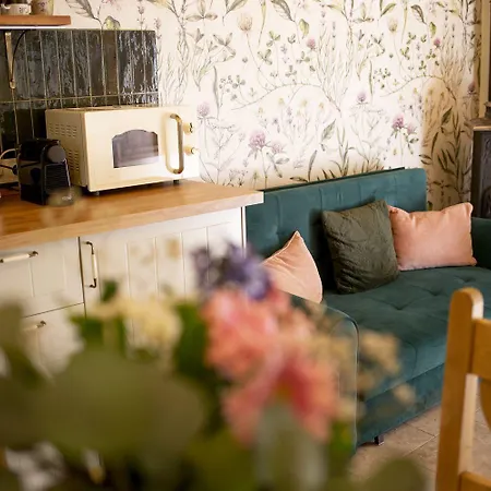 Chillinn Rose 招待所 埃格尔