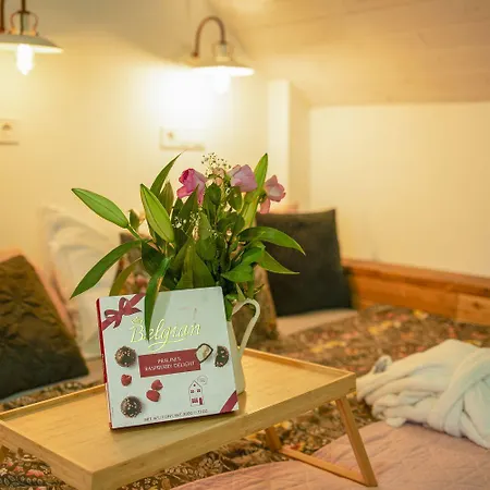 Chillinn Rose * 埃格尔