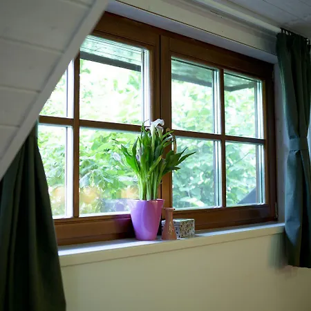 Chillinn Rose 招待所 埃格尔