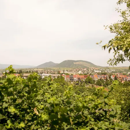 招待所 Chillinn Rose 埃格尔